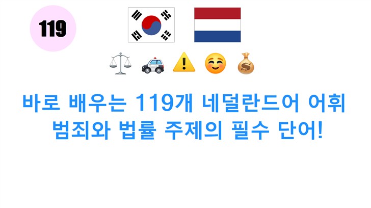 바로 배우는 119개 네덜란드어 어휘: 범죄와 법률 주제의 필수 단어!